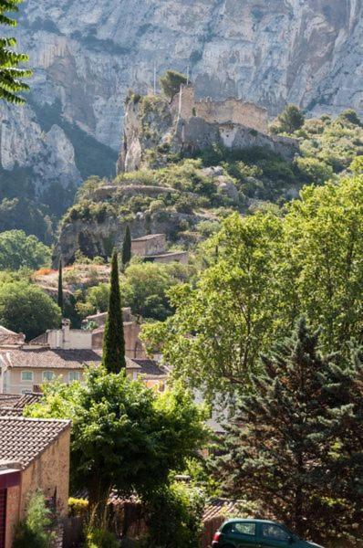 La Figuiere Fontaine De Vaucluse Acomodação com café da manhã Exterior foto