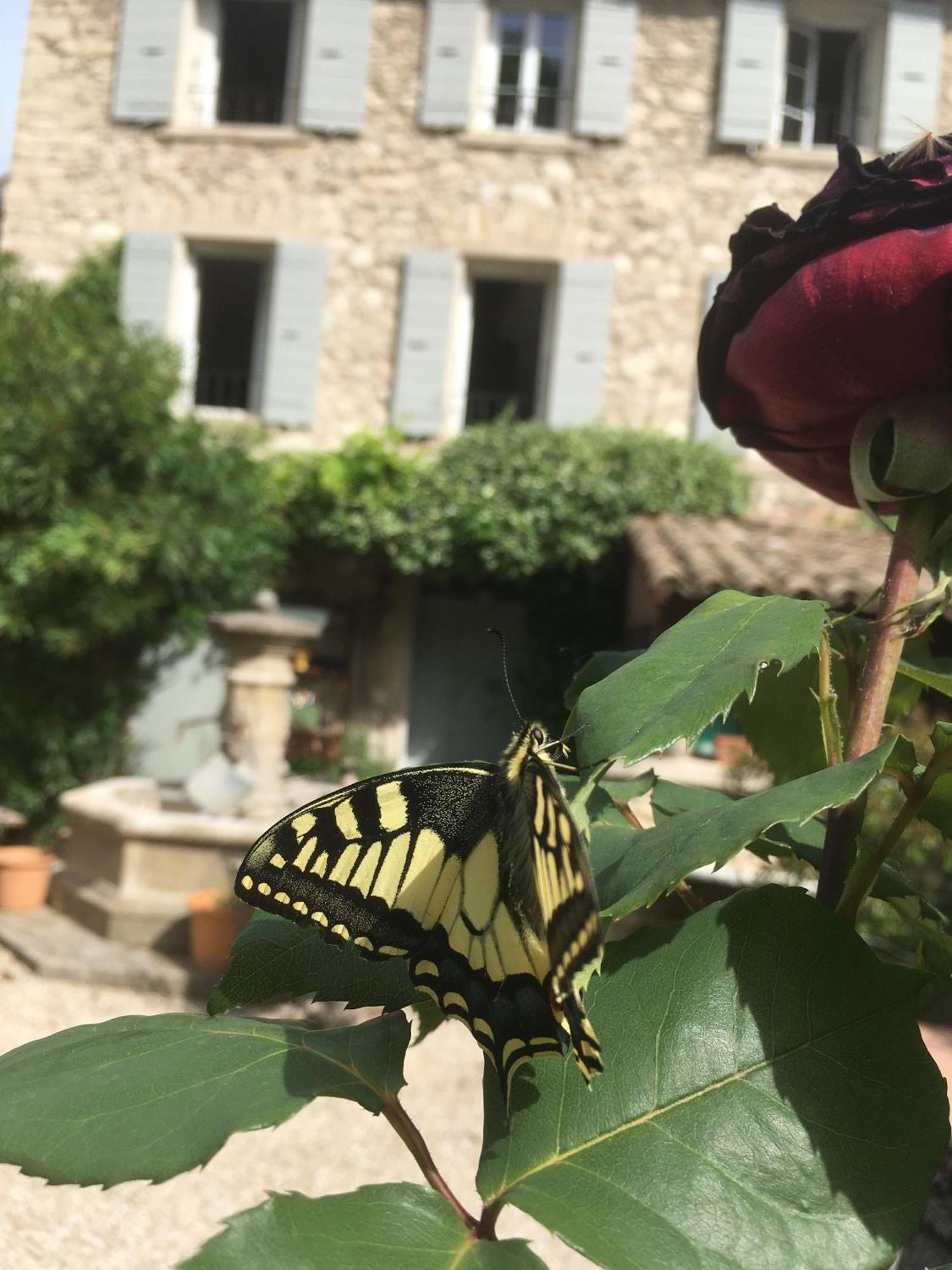La Figuiere Fontaine De Vaucluse Acomodação com café da manhã Exterior foto